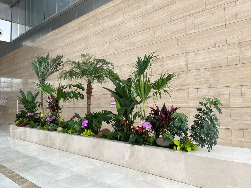 “宁波前湾花卉租赁哪家好验