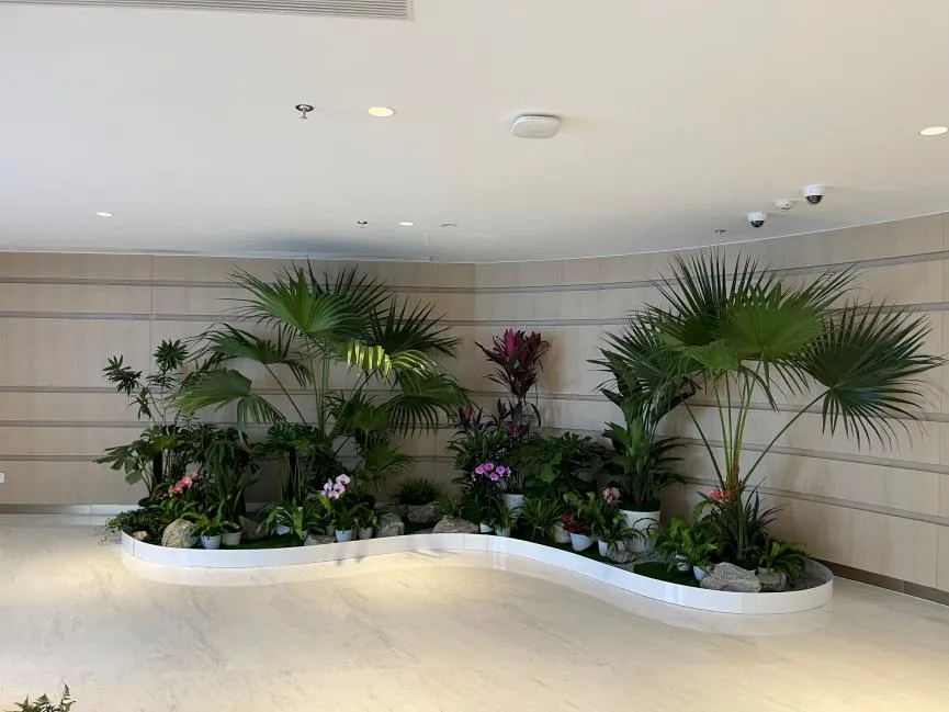 寻觅实惠盆景出租？宁波奉化不容错过！